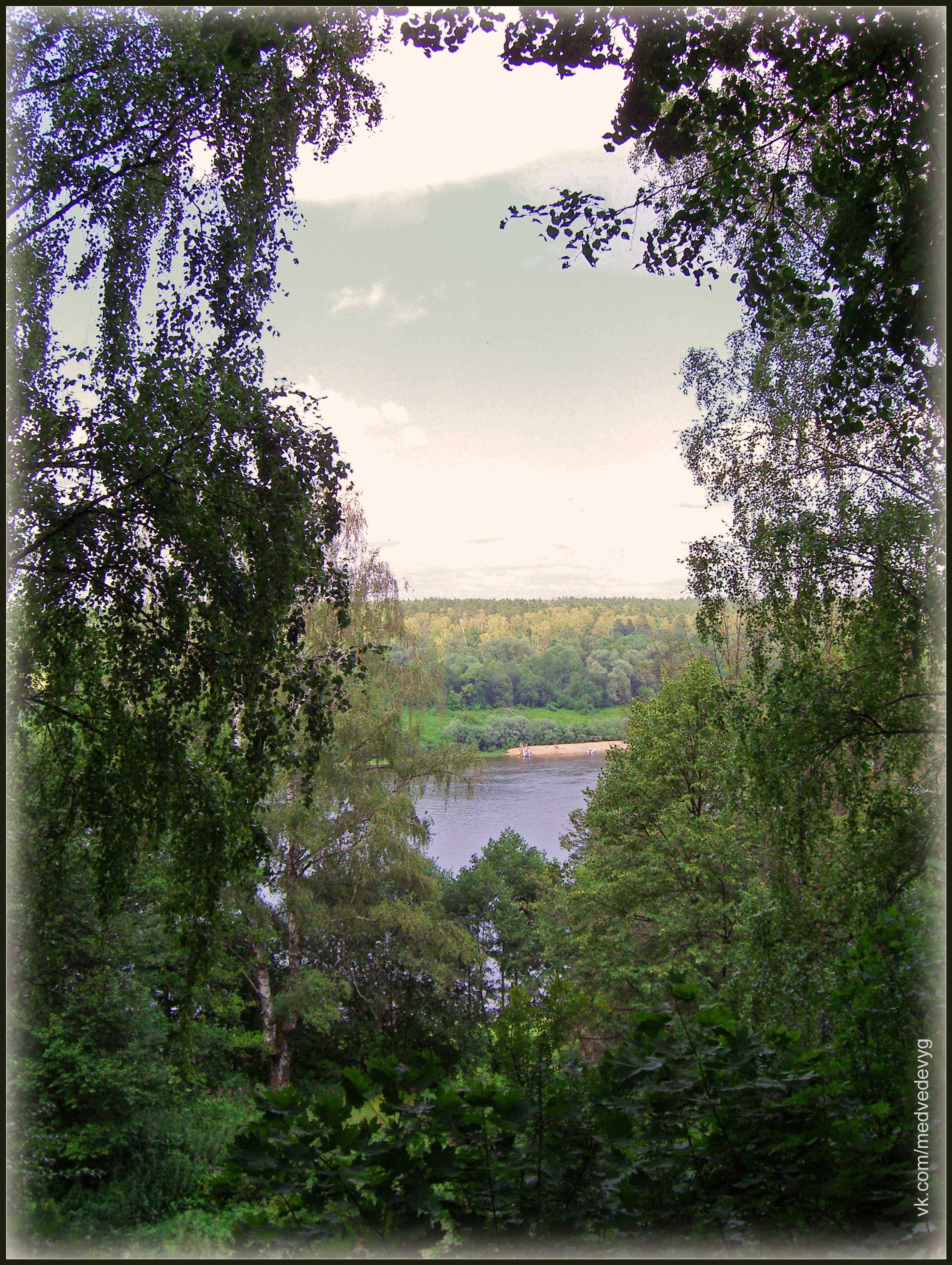 Виньетка Тарусы